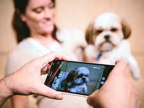 探索人工智能開發(fā) 49個(gè)常用API與基礎(chǔ)軟件開發(fā)指南